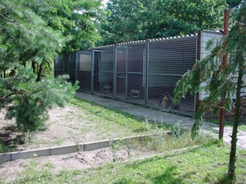 Zwingeranlage