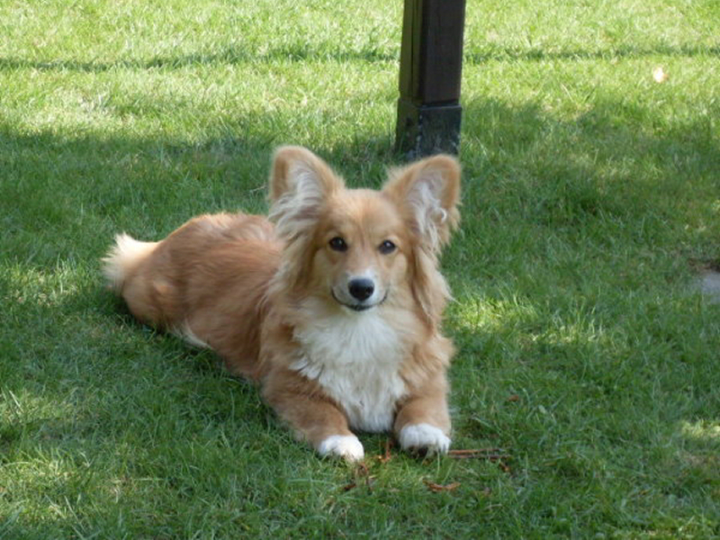 Amy Amy