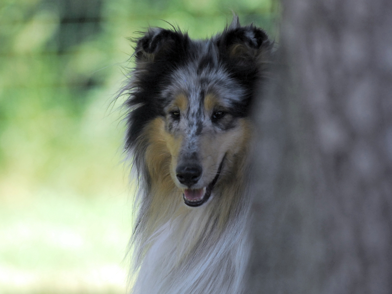 Marino, 15.06.2015 Marino, 15.06.2015