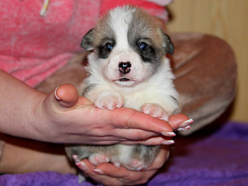 Monty2016-03-18 Monty2016-03-18