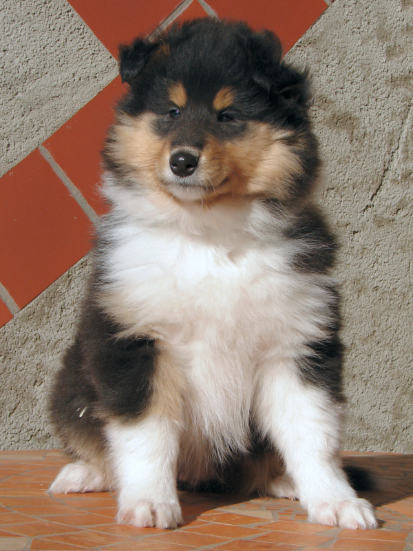 Quendoline Quendoline