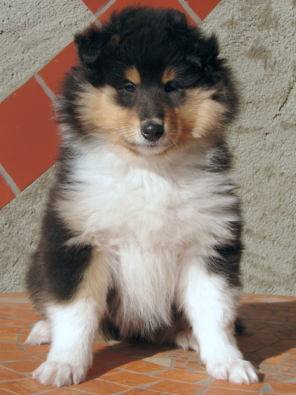 Quendoline Quendoline