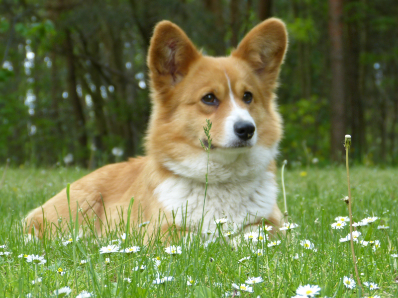 Mausi, 10. Mai 2014, Doris Franke