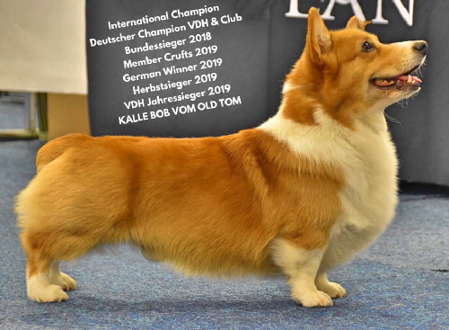 Kalle Jahressieger 2019 Kalle Jahressieger 2019