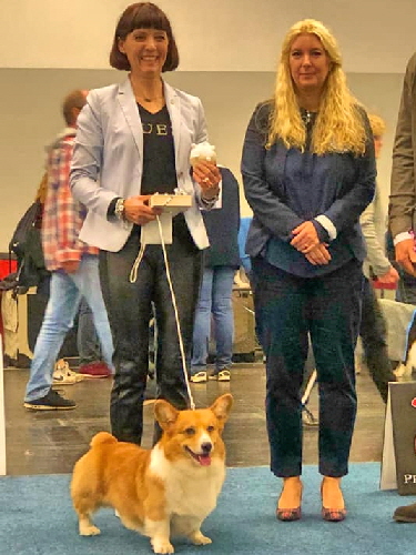 Kallo BOB Herbstsieger 2019 Kallo BOB Herbstsieger 2019