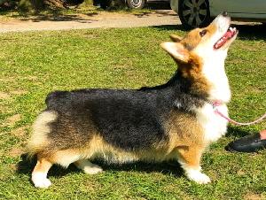 Orelie, 06.05.2018 Orelie, 06.05.2018