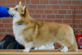 Oska Oska