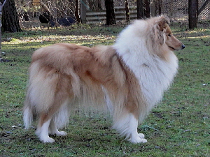Peaches-07 Peaches-07