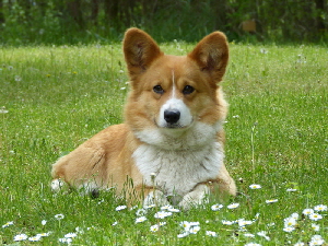 Mausi, 10. Mai 2014, Doris Franke