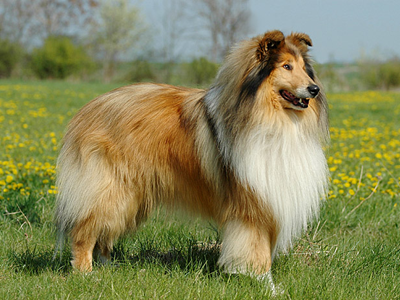 Digger, 4 Jahre Digger, 4 Jahre