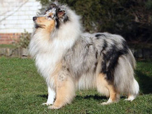 sky-05 sky-05
